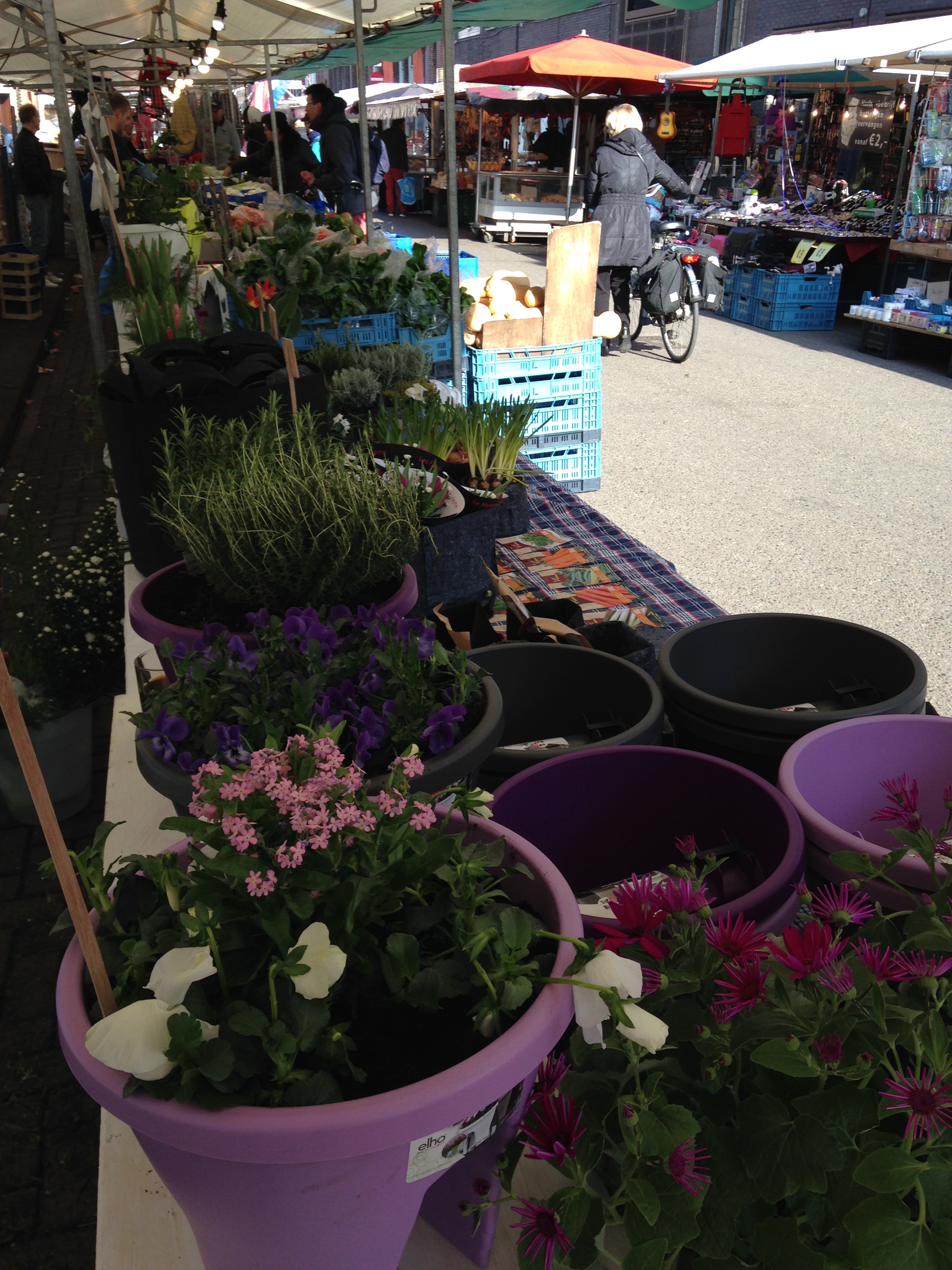 Les fleurs de mylene op de markt